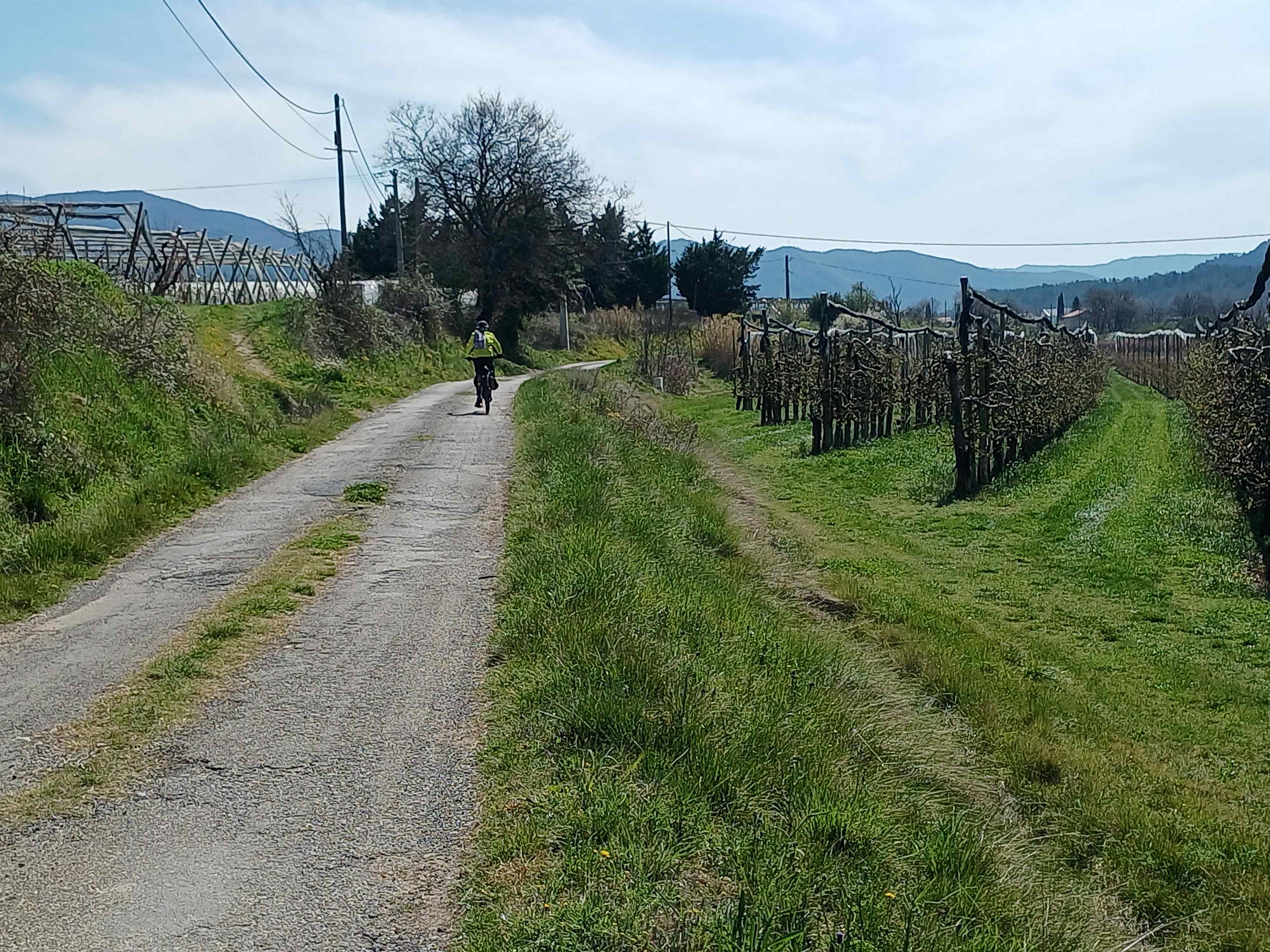 Chemin du Plan à Volonne