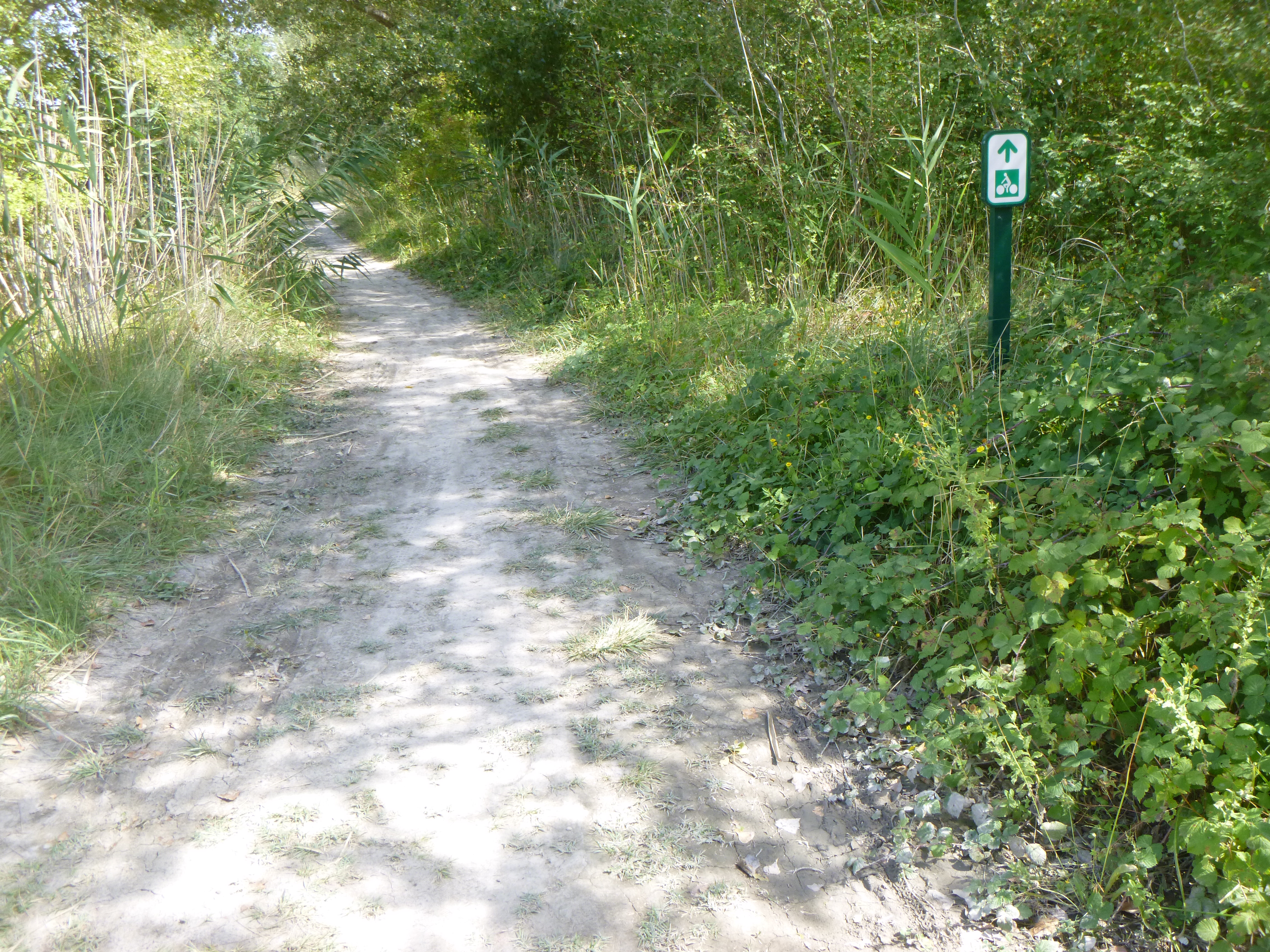 Variante « nature » à La Roque