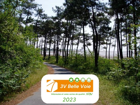 Descente vers la plage