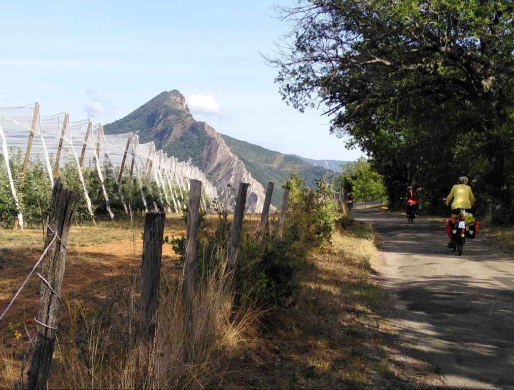 Vergers près de Sisteron