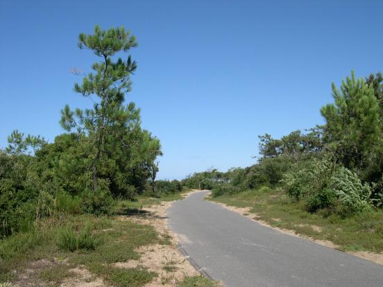 derriere la grande cote