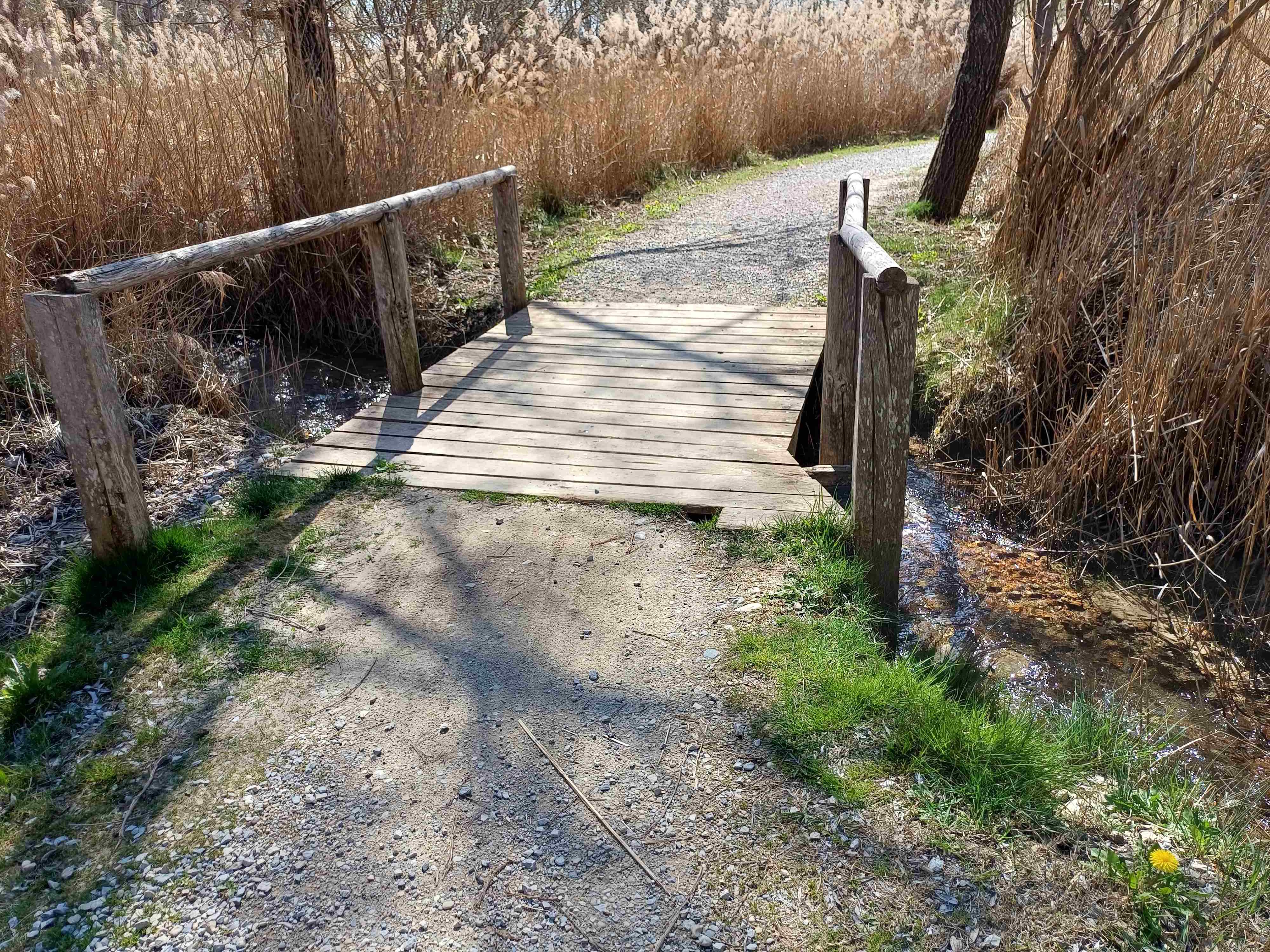 Passerelle en bois