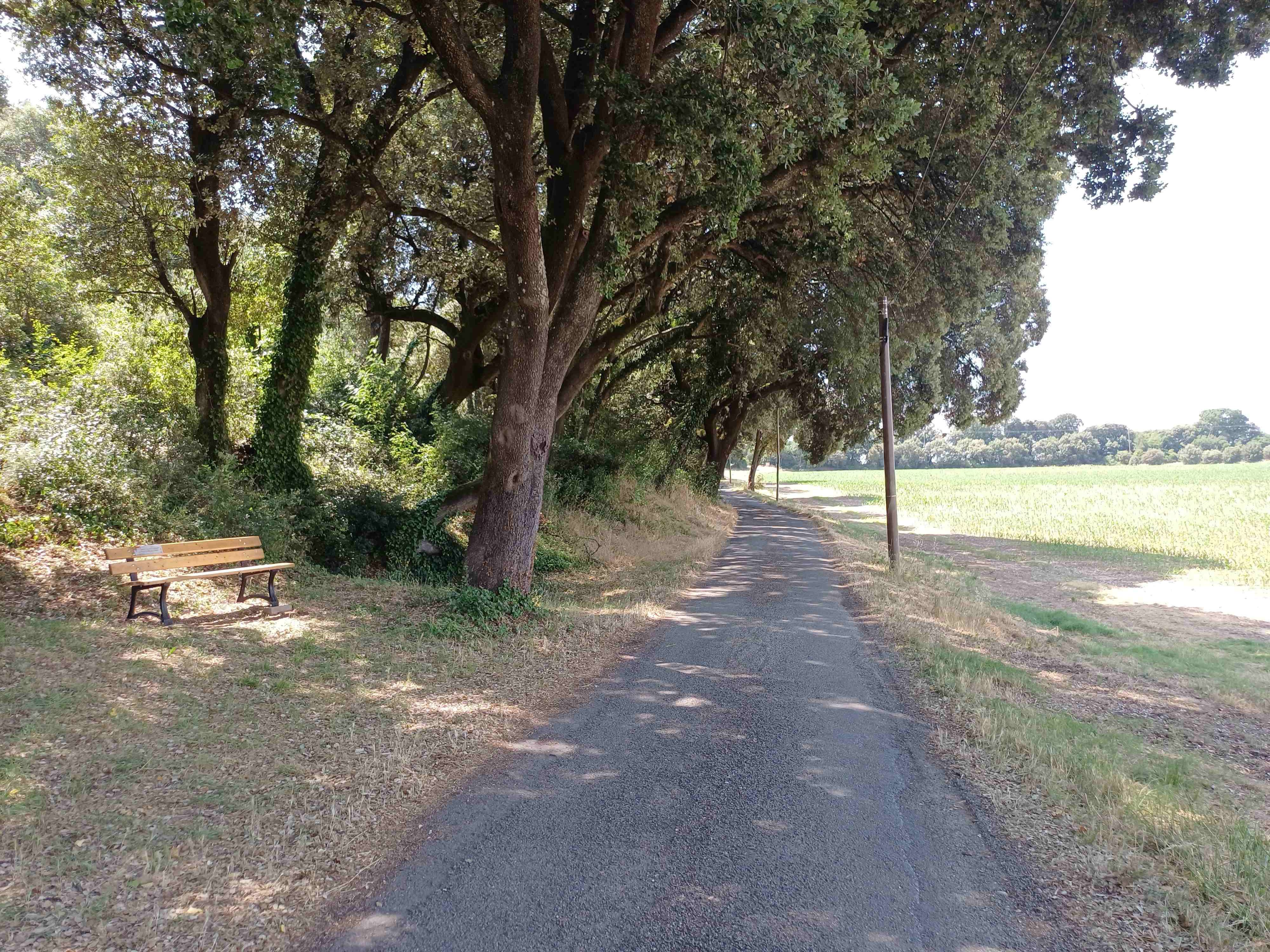 Parcours ombragé avec banc