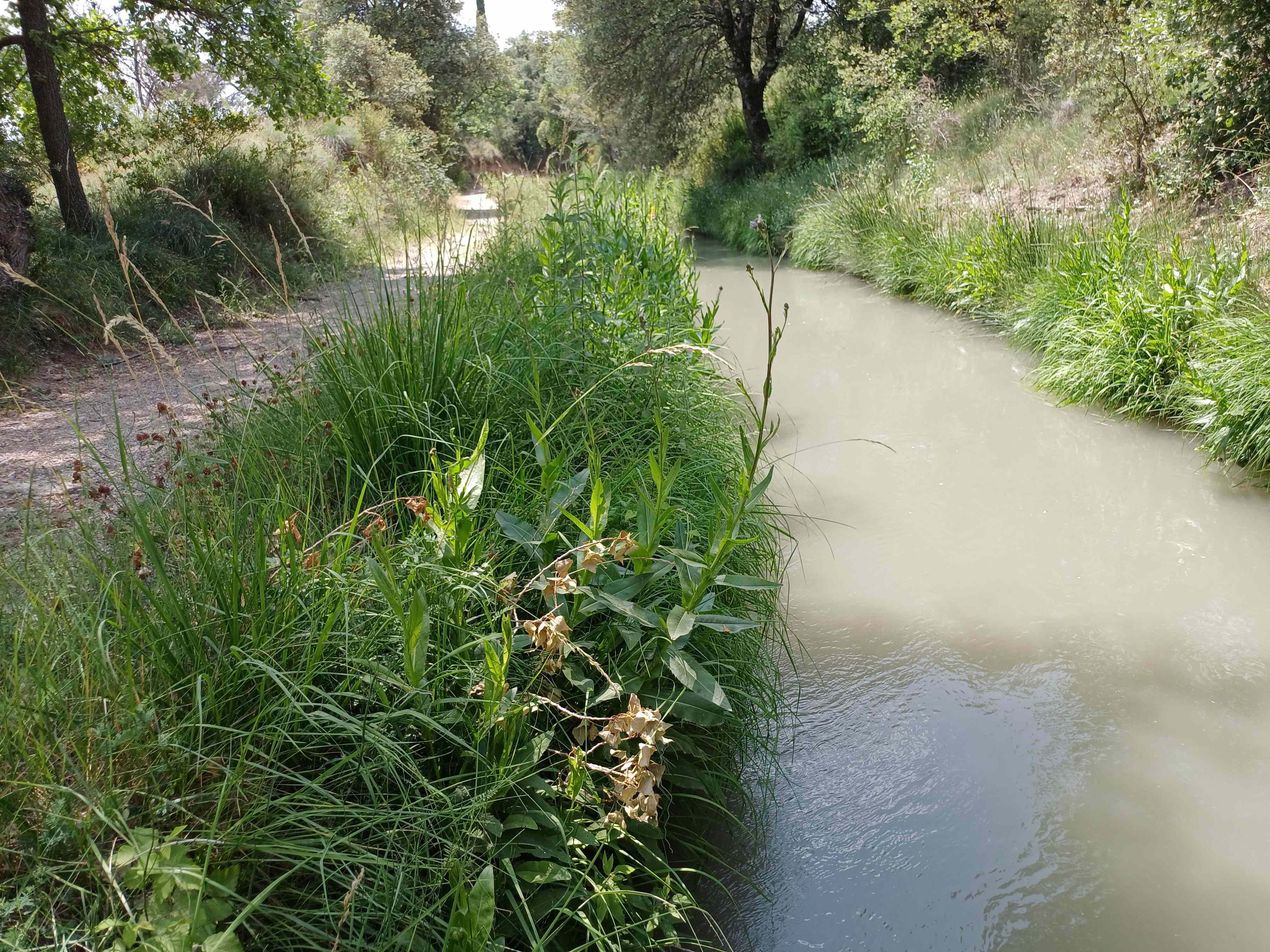 Le canal de Manosque
