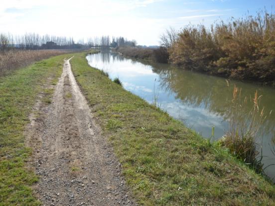 Chaussée dégradée