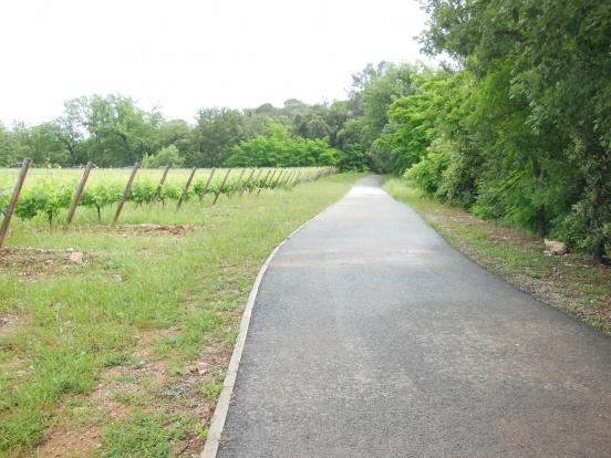 Vignes et voie verte