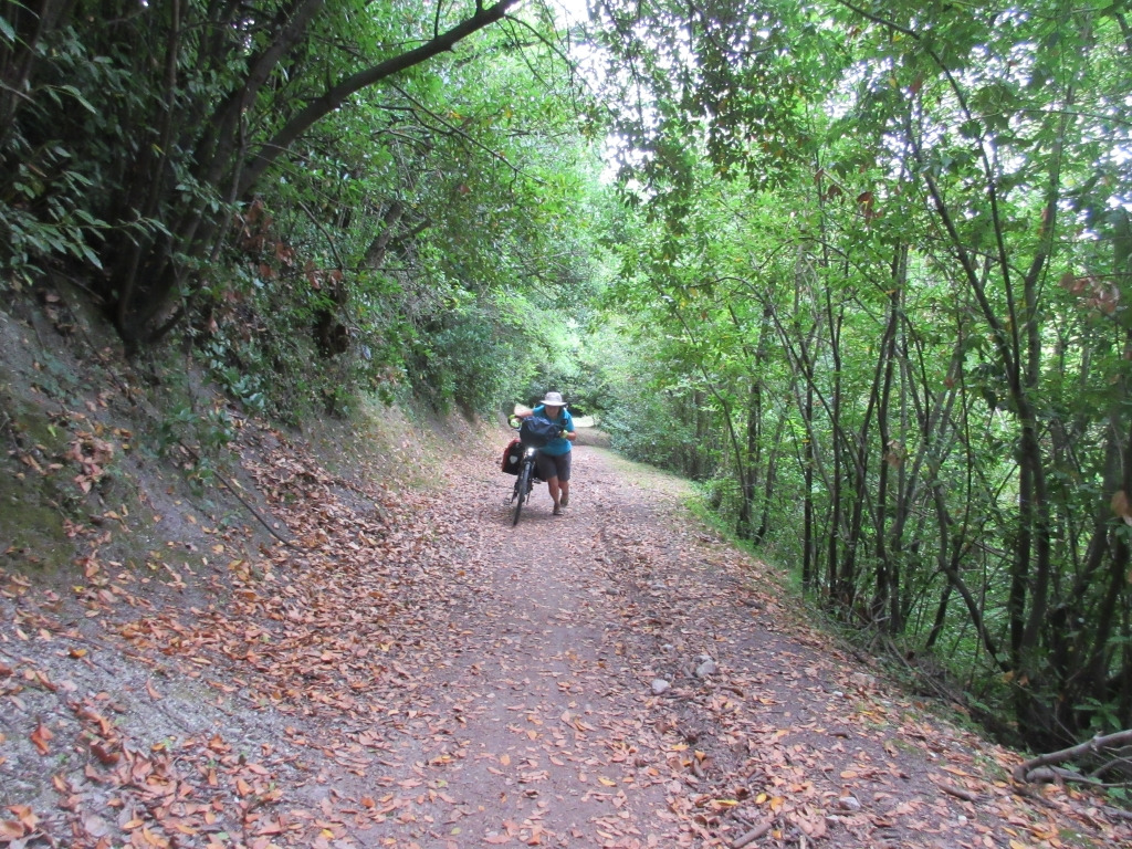 Montée aux Ouches de chez Gautron