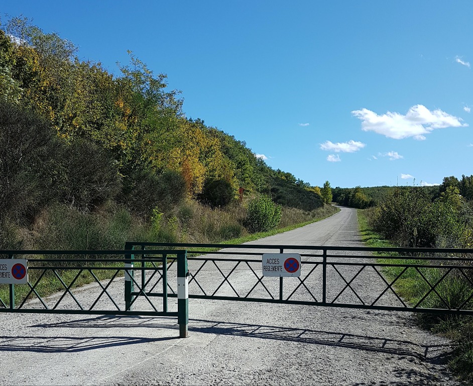 Descente -ou montée- de la forêt de Bouconne