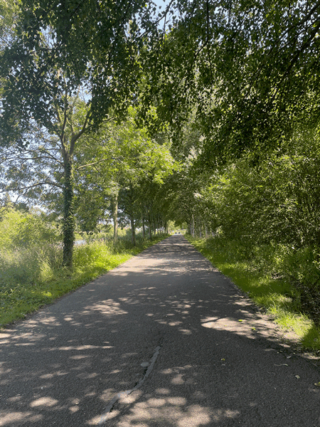 Comines : voie verte